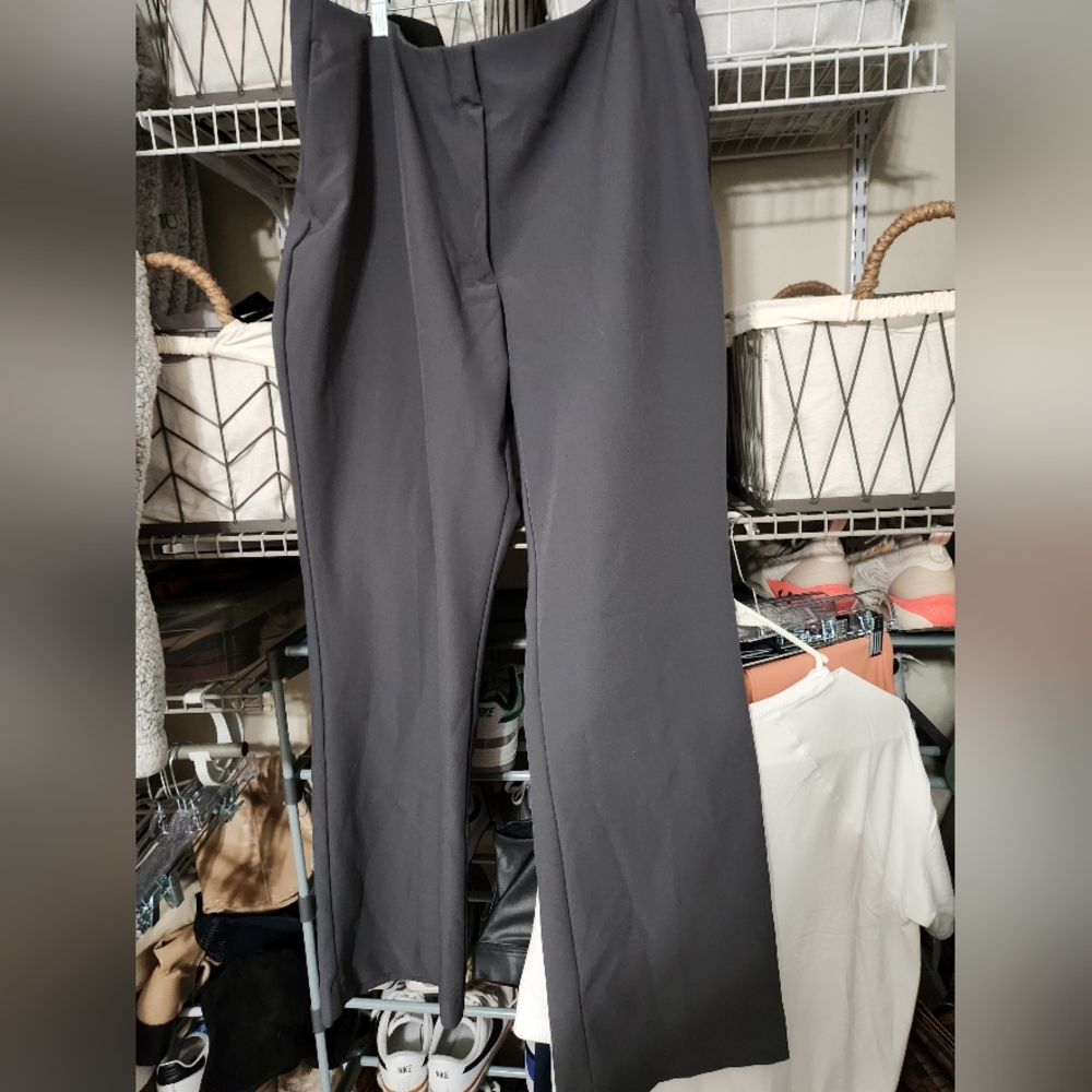Express Dress Pants